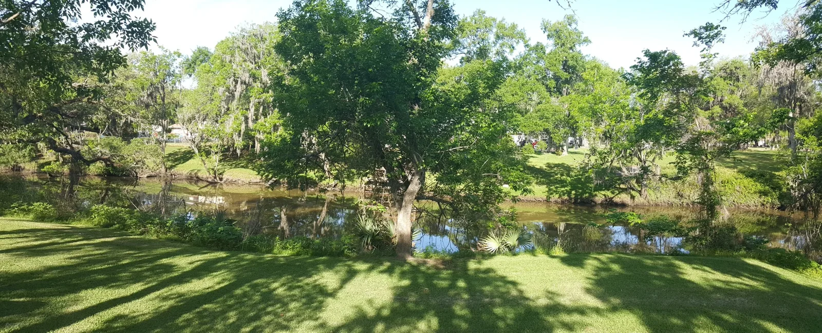 Sunlit trees and a green lawn reflected in a bayou.