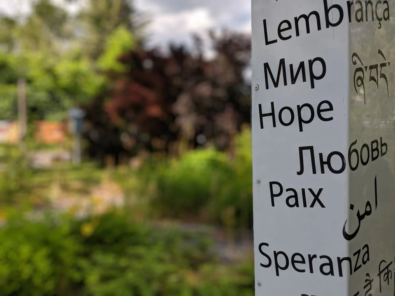 A sign with words in several languages, surrounded by green foliage.